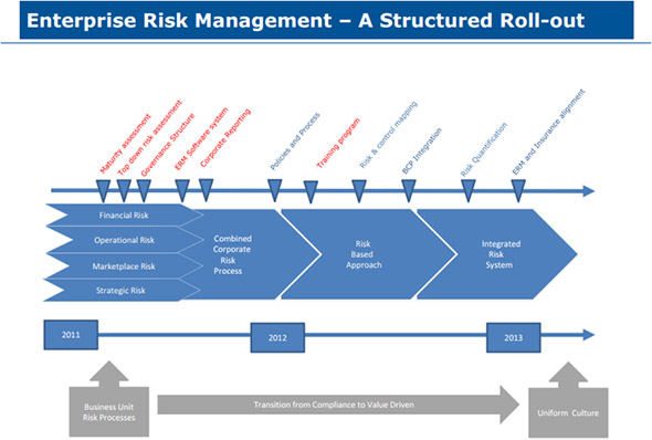 Dubals Structured ERM Roll-out