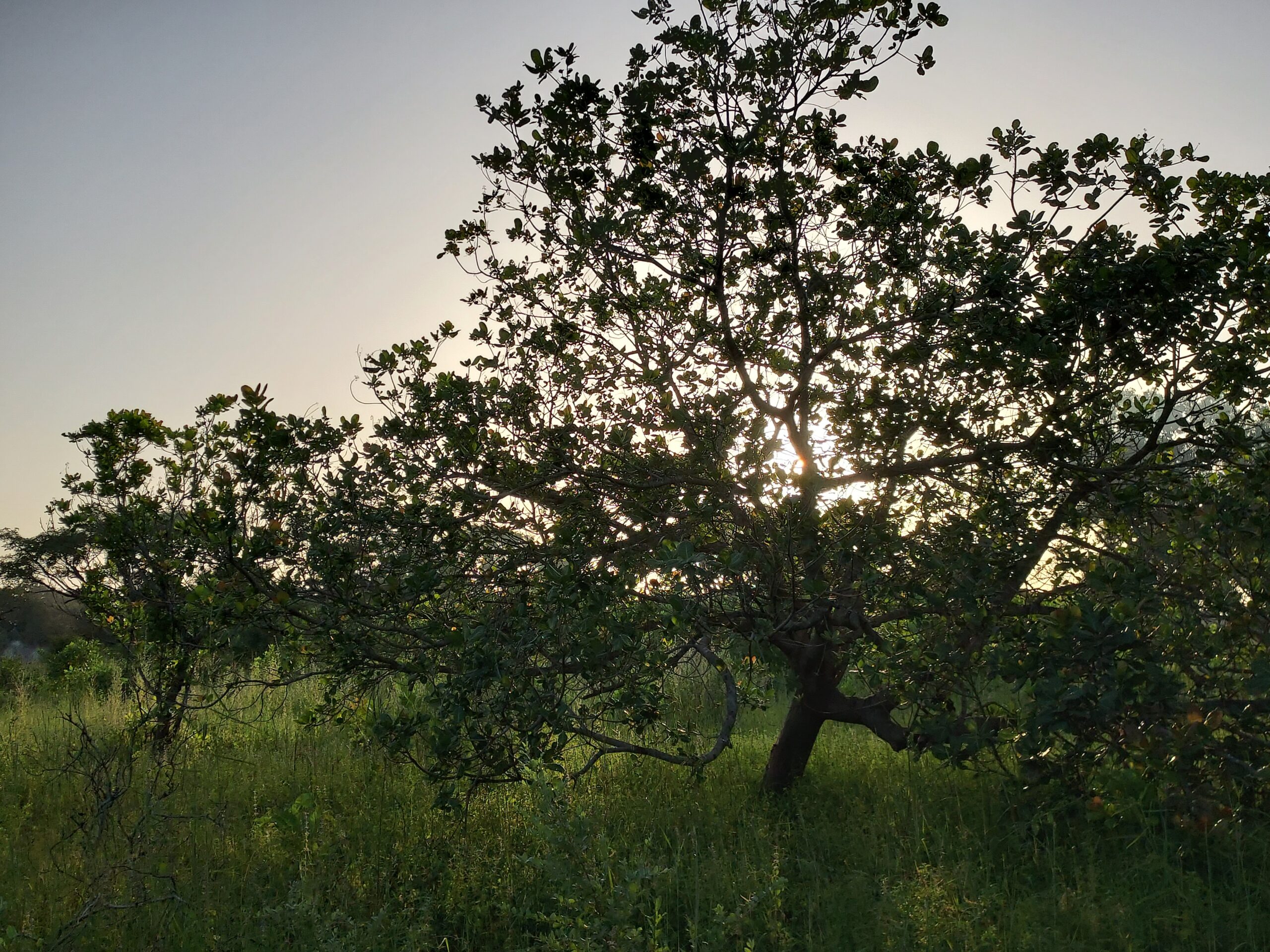 The Need for Workers in Africa: Bring Light to their Darkness